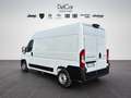 Peugeot BOXER Bianco - thumbnail 4