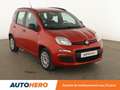 Fiat Panda 1.2 Easy Rouge - thumbnail 8