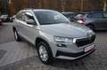 Skoda Karoq 1.5 TSI DSG Selection 4JGAR+eAHK+CAM+LED Grau - thumbnail 5