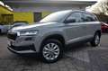 Skoda Karoq 1.5 TSI DSG Selection 4JGAR+eAHK+CAM+LED Grau - thumbnail 1
