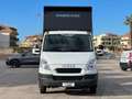 Iveco Daily Iveco Daily 35c11 ribaltabile nuovo euro 5b White - thumbnail 15