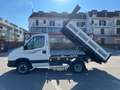 Iveco Daily Iveco Daily 35c11 ribaltabile nuovo euro 5b White - thumbnail 13