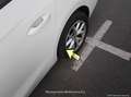 SEAT Leon SP 2.0 TDI 85kW Style Go - thumbnail 35