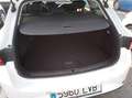 SEAT Leon SP 2.0 TDI 85kW Style Go - thumbnail 14