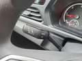 Volkswagen Caddy Maxi TDI 4MOTION Rot - thumbnail 13