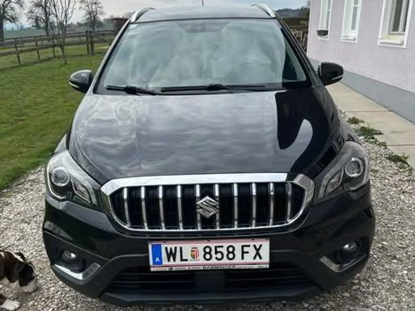 Suzuki SX4 S-Cross SX4 S-Cross 1,0 DITC shine Aut. shine Schwarz - 2