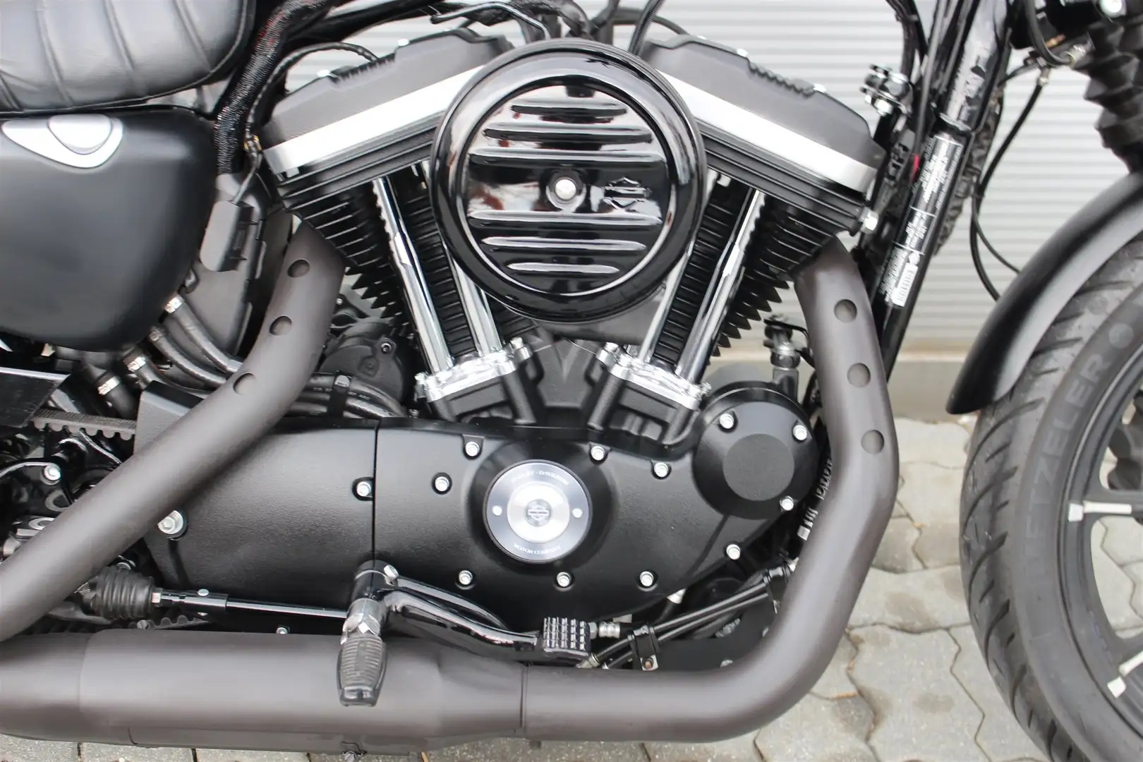 Harley-Davidson Sportster 883 - 2