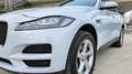 Jaguar F-Pace 2.0 300 CV AWD aut. Portfolio Bianco - thumbnail 6