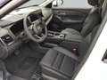 Nissan X-Trail 1.5 VC-T e-Power 4x4 Tekna HUD+PGD+BOSE Weiß - thumbnail 10