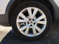 SEAT Arona 1.0 TSI S&S X-Perience Special Edition DSG7 115 Blanco - thumbnail 8