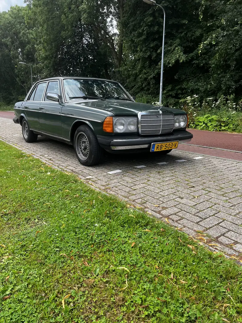 Mercedes-Benz Diesel W123 wegenbelastingvrij 1978 rijdt goed - 1