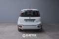 Fiat Panda Pandina 1.0 firefly hybrid 70CV Cross Alb - thumbnail 5