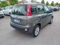 Fiat Panda 1.2 Lounge easypower Gpl 69cv E6 Grigio - thumbnail 5