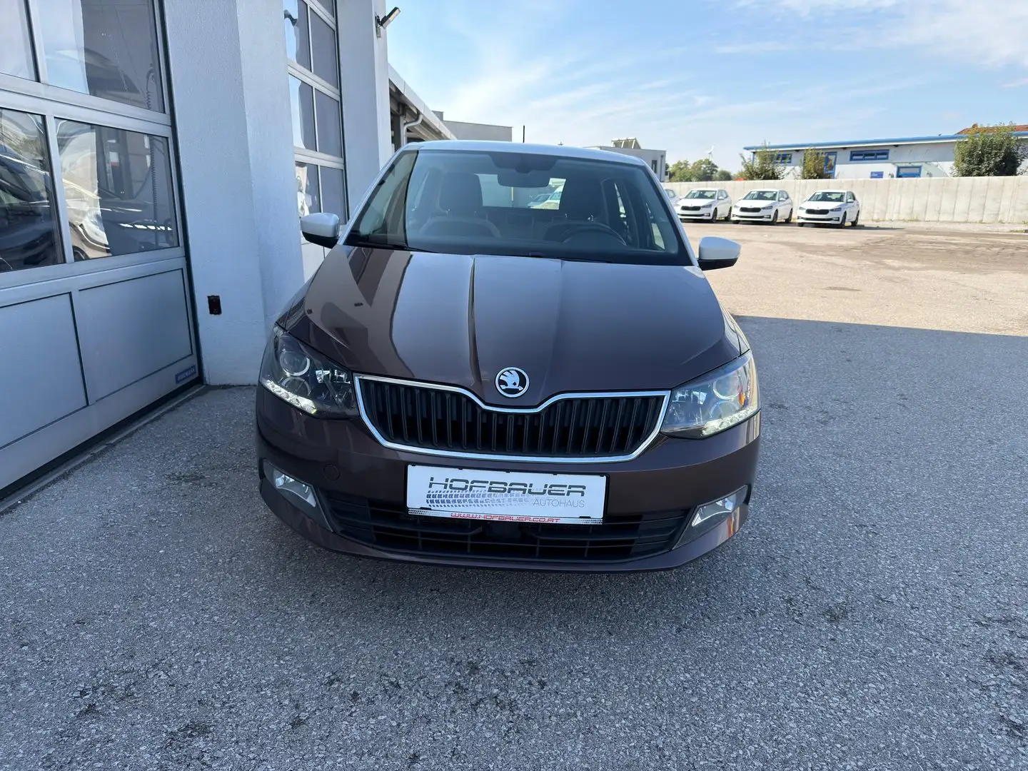Skoda Fabia Style TSI Braun - 2