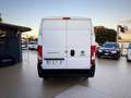 Fiat Ducato Garanzia 12 Mesi - thumbnail 8