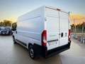 Fiat Ducato Garanzia 12 Mesi - thumbnail 4
