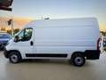 Fiat Ducato Garanzia 12 Mesi - thumbnail 6