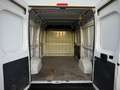 Fiat Ducato Garanzia 12 Mesi - thumbnail 11