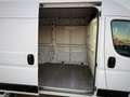 Fiat Ducato Garanzia 12 Mesi - thumbnail 12