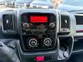 Fiat Ducato Garanzia 12 Mesi - thumbnail 13