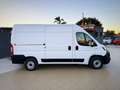 Fiat Ducato Garanzia 12 Mesi - thumbnail 5