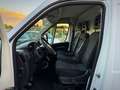 Fiat Ducato Garanzia 12 Mesi - thumbnail 9