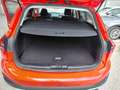 Ford Focus 1,5 EcoBlue Active NEUES MODELL * LED, Kamera, usw Rot - thumbnail 14