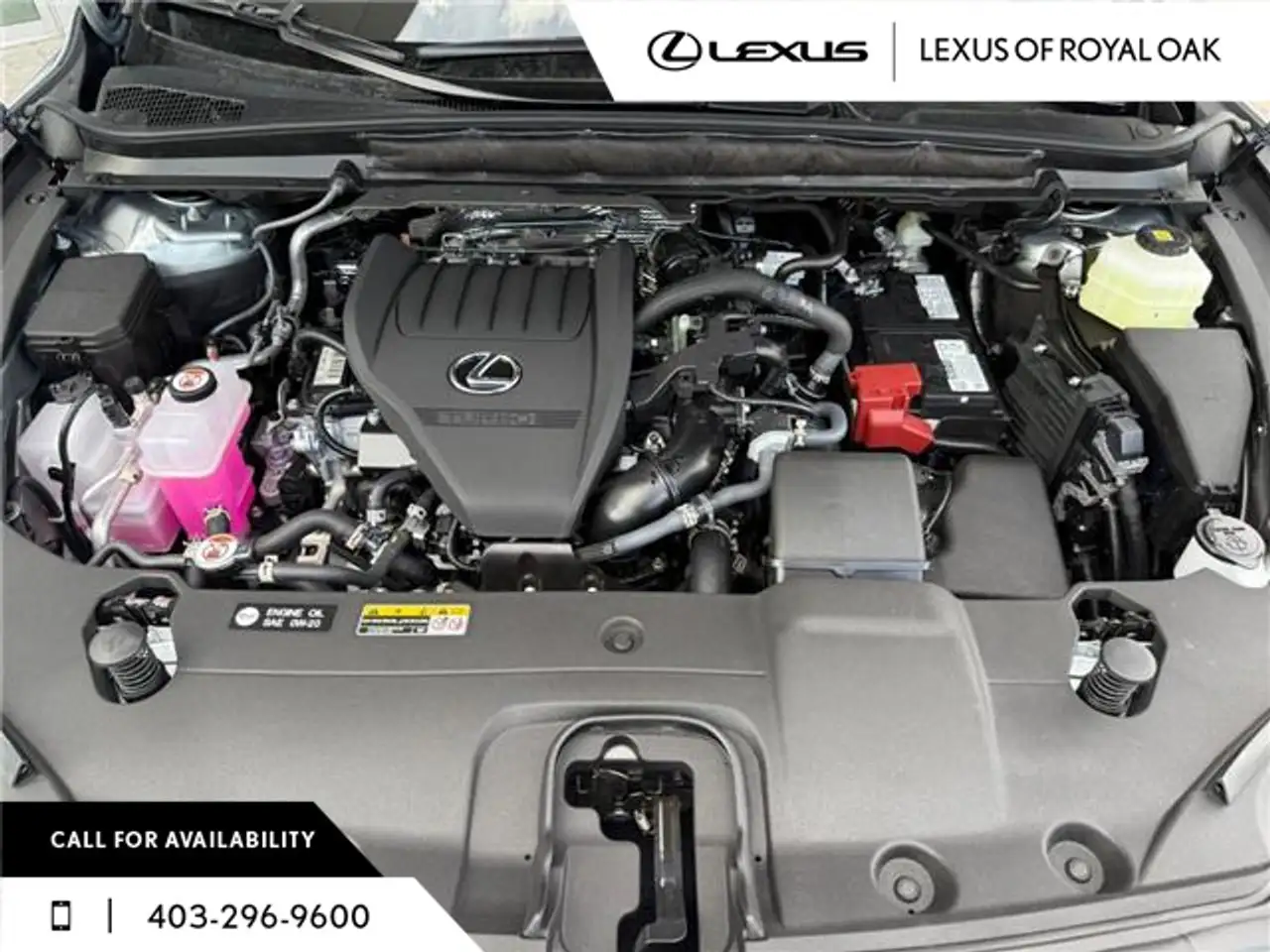 Lexus RX снимка Lexus RX