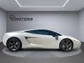 Lamborghini Gallardo SE 072/250, TETTO NERO, LIFT, SERVICE LAMBORGHINI! Bianco - thumbnail 13