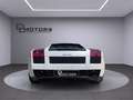 Lamborghini Gallardo SE 072/250, TETTO NERO, LIFT, SERVICE LAMBORGHINI! Bianco - thumbnail 11