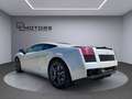 Lamborghini Gallardo SE 072/250, TETTO NERO, LIFT, SERVICE LAMBORGHINI! Bianco - thumbnail 4