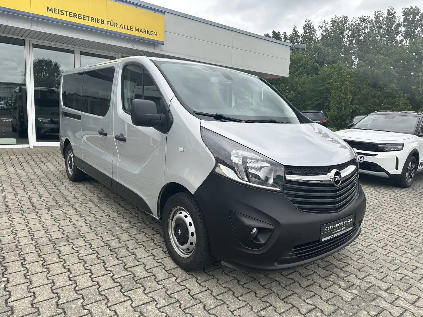 Opel Vivaro 1.6 CDTI Biturbo L2H1 2,9 ecoFlex S/S Grau - 1