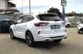Ford Kuga 1.5 EcoBoost 150 CV ST-Line 2WD Carplay Navi Weiß - thumbnail 24