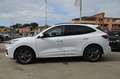 Ford Kuga 1.5 EcoBoost 150 CV ST-Line 2WD Carplay Navi Weiß - thumbnail 5