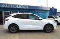 Ford Kuga 1.5 EcoBoost 150 CV ST-Line 2WD Carplay Navi Weiß - thumbnail 2