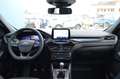 Ford Kuga 1.5 EcoBoost 150 CV ST-Line 2WD Carplay Navi Weiß - thumbnail 7