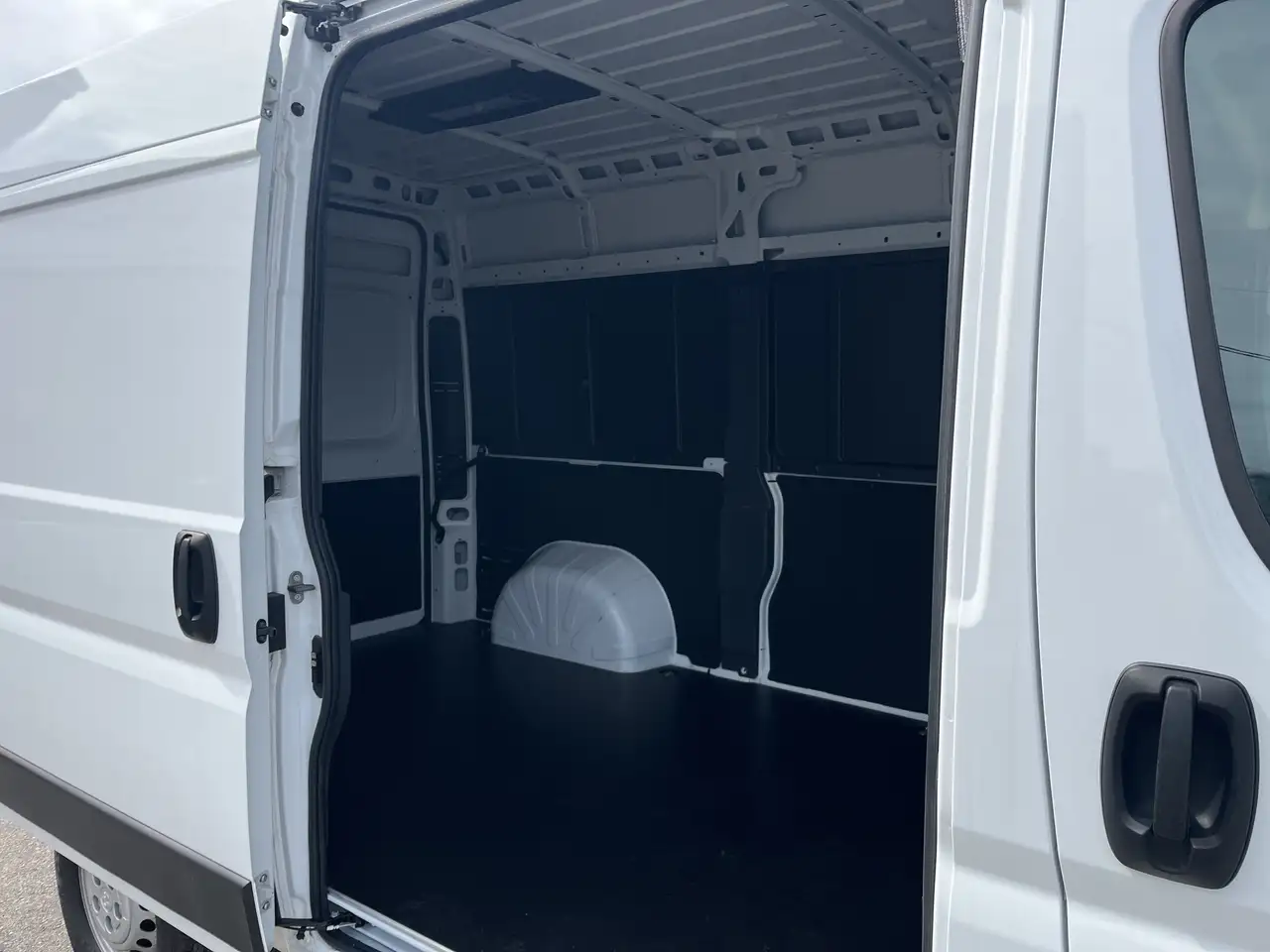 RAM Promaster снимка RAM Promaster