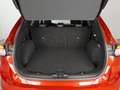 Ford Kuga ST-Line X 2.5 Duratec PHEV 225cv FWD Automático Rojo - thumbnail 13
