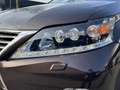 Lexus RX 450h 4WD President Line SCHUIFDAK LUCHTVERING STOELVENT Brun - thumbnail 9