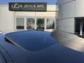 Lexus RX 450h 4WD President Line SCHUIFDAK LUCHTVERING STOELVENT Brun - thumbnail 12