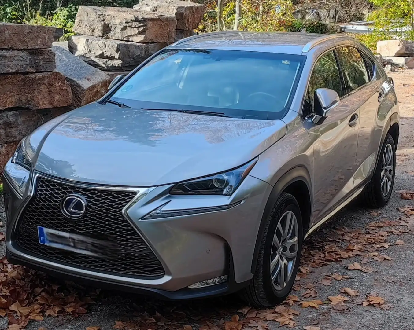 Lexus NX 300h NX 300h GARANTIA 1 AÑO Executive 4WD NavIbox Plateado - 2