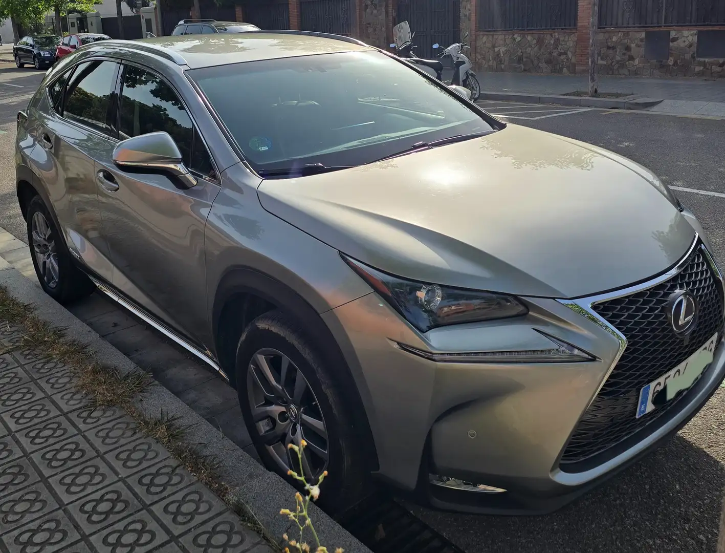 Lexus NX 300h NX 300h GARANTIA 1 AÑO Executive 4WD NavIbox Silber - 1