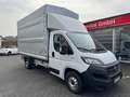 Fiat Ducato 160 L5 Pritsche RS: 4035 mm. Motor mit 90 000 KM. Gris - thumbnail 1