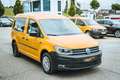 Volkswagen Caddy Trendline 2.0 TDI AHK Xenon Navi Amarillo - thumbnail 5