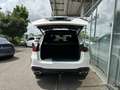 Mercedes-Benz GLE 450 GLE 450 4M AMG*PANO*AHK*360CAM*DISTRONIC*MULTI Weiß - thumbnail 9