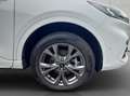 Ford Kuga 2.5 Duratec PHEV ST-LINE Wit - thumbnail 25