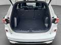 Ford Kuga 2.5 Duratec PHEV ST-LINE Wit - thumbnail 5