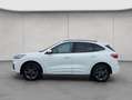 Ford Kuga 2.5 Duratec PHEV ST-LINE Wit - thumbnail 2
