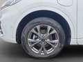 Ford Kuga 2.5 Duratec PHEV ST-LINE Wit - thumbnail 24
