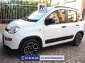 Fiat Panda PANDA 1.0 FIREFLY HYBRID CITY LIFE 5POSTI+VIVAVOCE Blanc - thumbnail 1